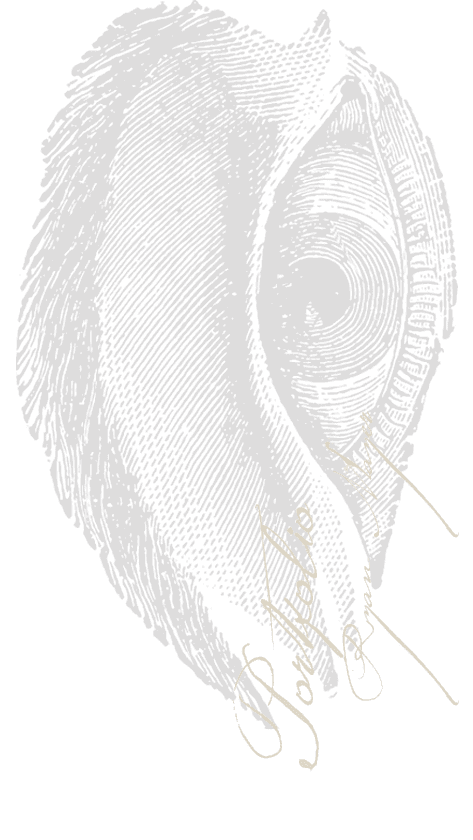 illus_Eye-Work