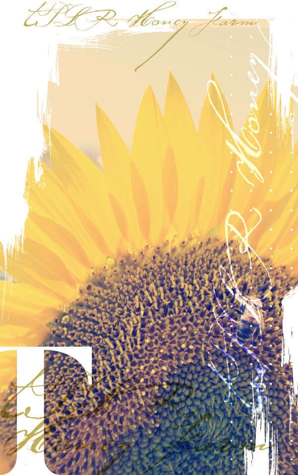 prjct_tplr_sidebar_img_01