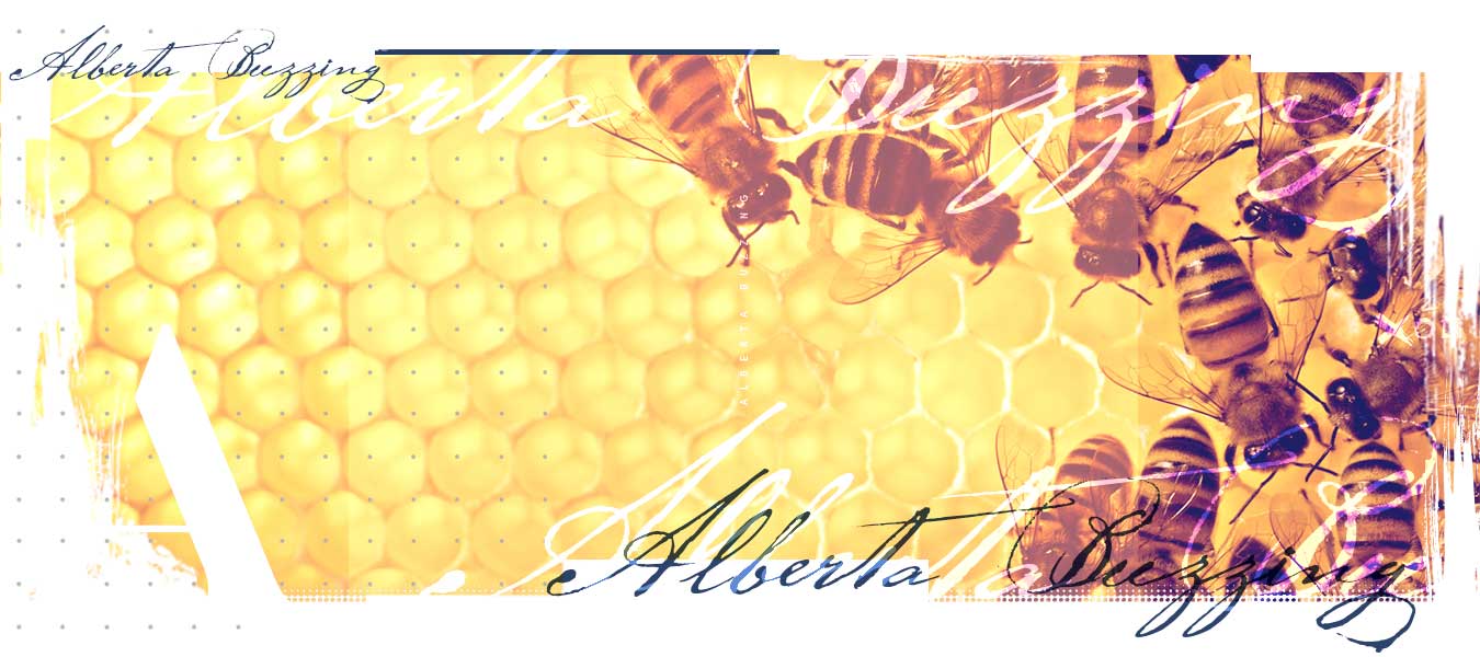 Alberta Buzzing